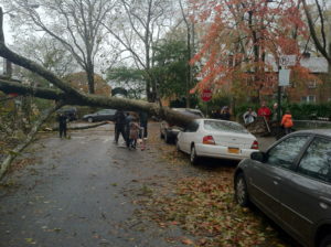 hurrican sandy aftermath