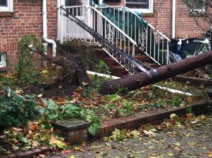 hurricane sandy aftermath