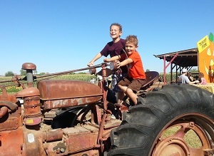 Grandparents On The Go - Tolmachoff Farms_300