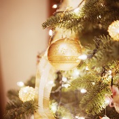 Ornament Hanging from Decorated Christmas Tree