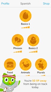 Duo the Owl guides you through each lesson on Duolingo.