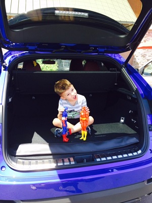 Lexus NX - Cargo Area