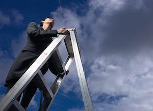 Corporate Ladder- smaller