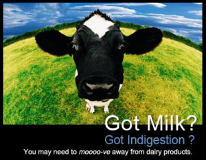 Lactose Intollerant_got_milk
