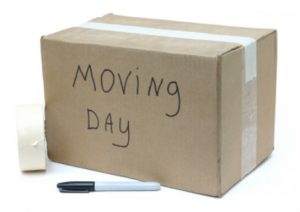 moving day box