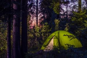 camping in a forrest 