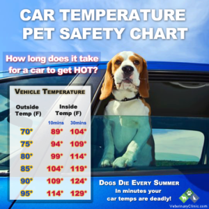 Car temperatures