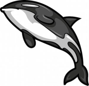vector-whale-mascot_fjc2vq8o