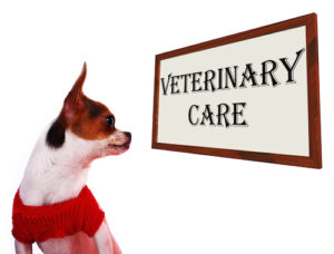 Veterinary Care Sign Showing Pet Clinic Or Hospital