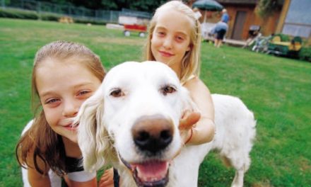 Doggy Talk – Communicating with your Pet