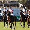 New Attendance Record Achieved at Scottsdale Ferrari-Maserati Polo Championships: Horses & Horsepower