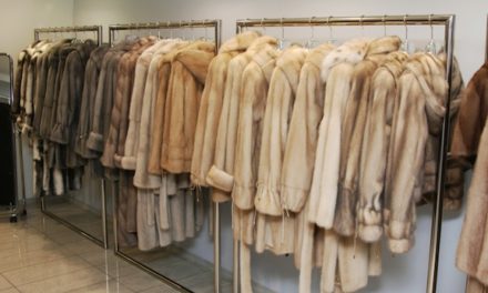 Storing your fur coats during the hot Arizona summer