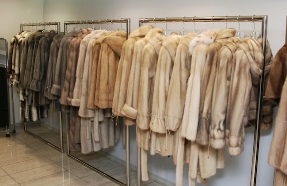 Storing your fur coats during the hot Arizona summer