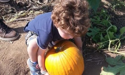 Pumpkin Picking in Prescott with a 2013 Lexus GX460