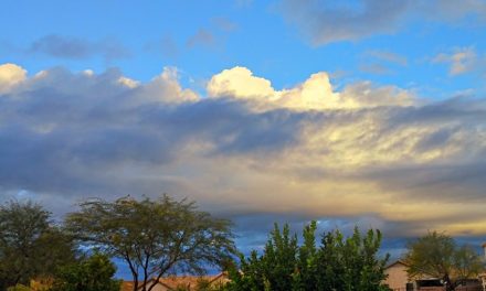 Did Your Phone Spring Ahead in Arizona?