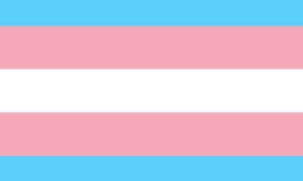 The Transgender Experience in the United States