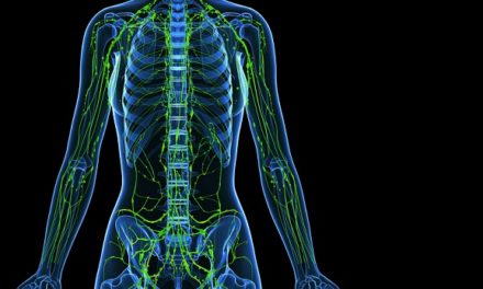 The Lymphatic System