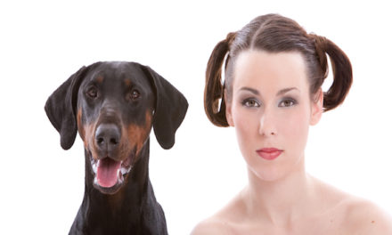 Seeing Double: Why Dogs Look Like Their Owners