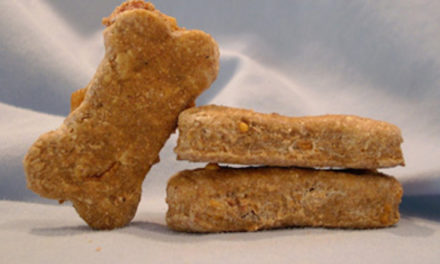 Easy Homemade Dog Treats