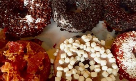 Not Your Average Doughnut: The Fractured Prune