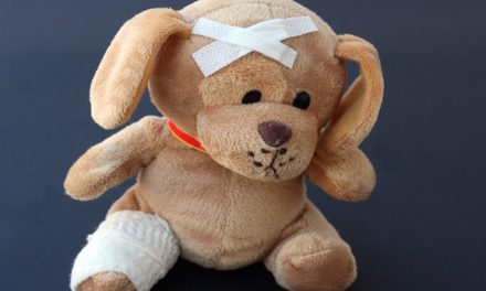 Doctor ‘Operates’ On Stuffed Animals To Make Child Patients Feel Better