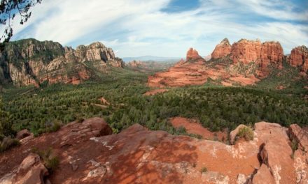 City Reminds Arizonans Dogs Banned From Hiking Trails On 100+ Degree Days