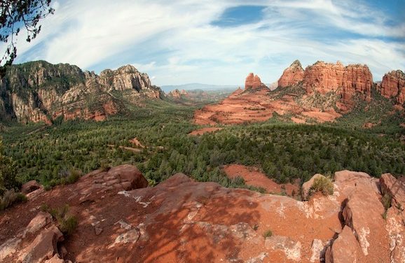 City Reminds Arizonans Dogs Banned From Hiking Trails On 100+ Degree Days