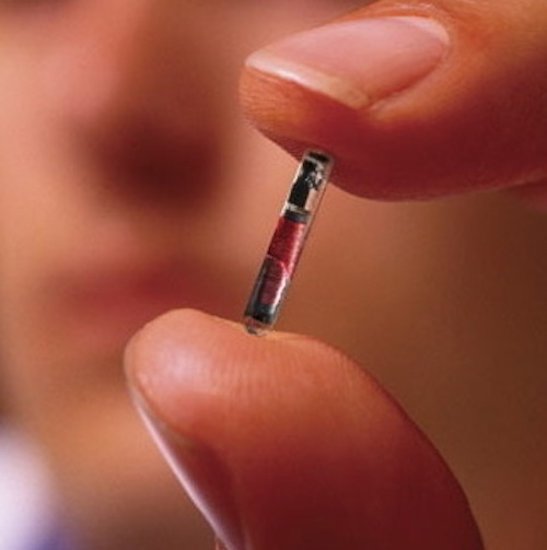 Microchipping Humans Is Actually Here SmartFem Magazine