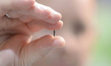 Microchipping Humans Is Actually Here