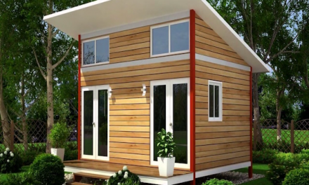 Detroit Creates Tiny Home Community For Low Income Renters