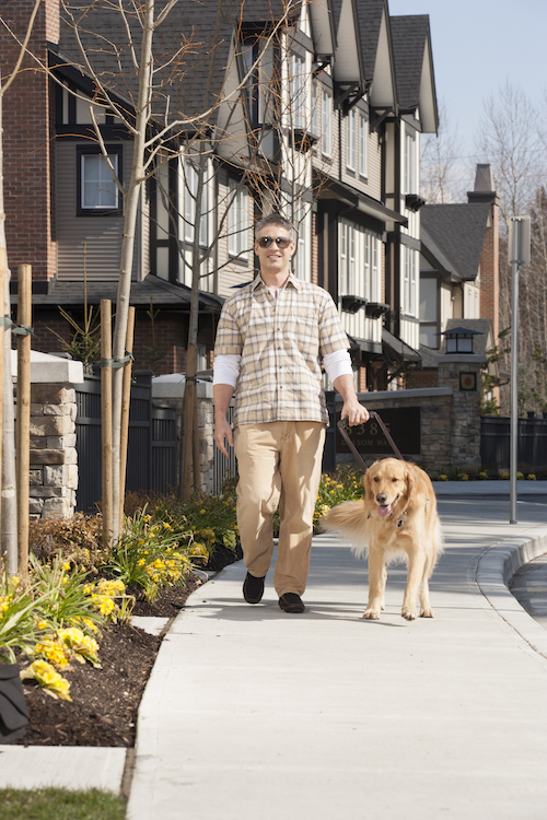 PetSmart Giving Away Free Dog Booties SmartFem Magazine