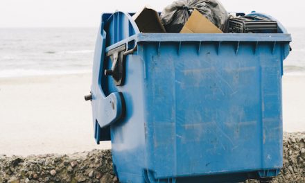 The Biggest Ocean Cleanup In History Has Begun