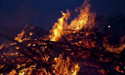 How To Help Those Affected By The California Wildfires