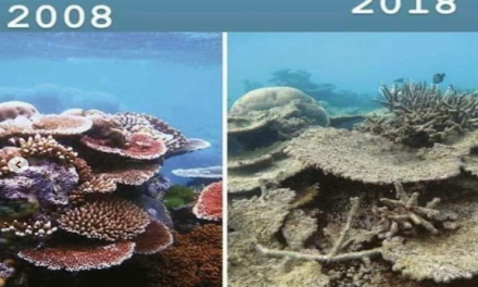 How The Ten Year Challenge Is Shedding Light On Climate Change