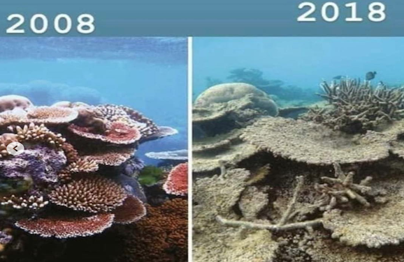 How The Ten Year Challenge Is Shedding Light On Climate Change