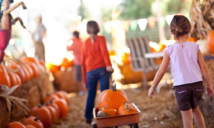 Fun Family Activities You Should Add to Your Fall Bucket List