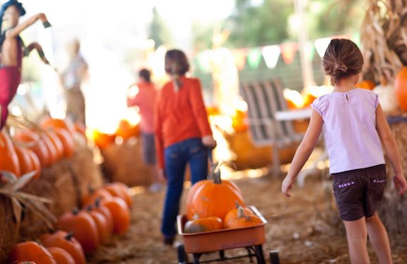 Fun Family Activities You Should Add to Your Fall Bucket List